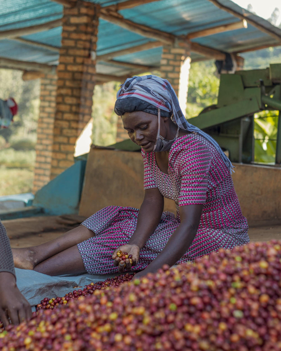 Rwanda Muhororo by Beacon Coffee Roasters