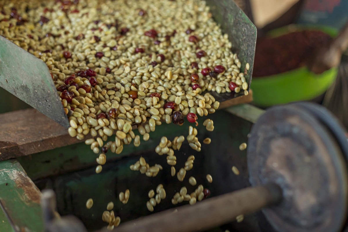 Rwanda Muhororo by Beacon Coffee Roasters