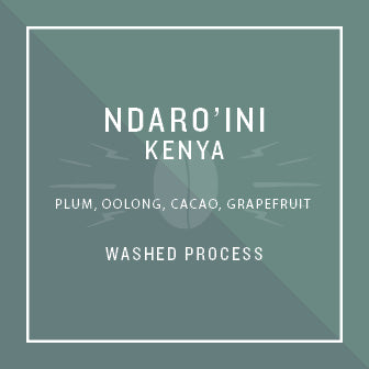 Kenya Ndaro'ini by Mojo Coffee Roasters