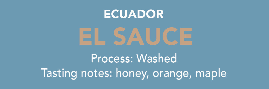 Dose - Ecuador El Sauce by Methodical Coffee