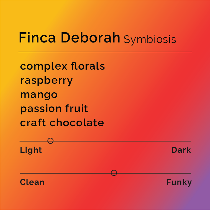 Panama Finca Deborah Symbiosis by Black & White Coffee Roasters