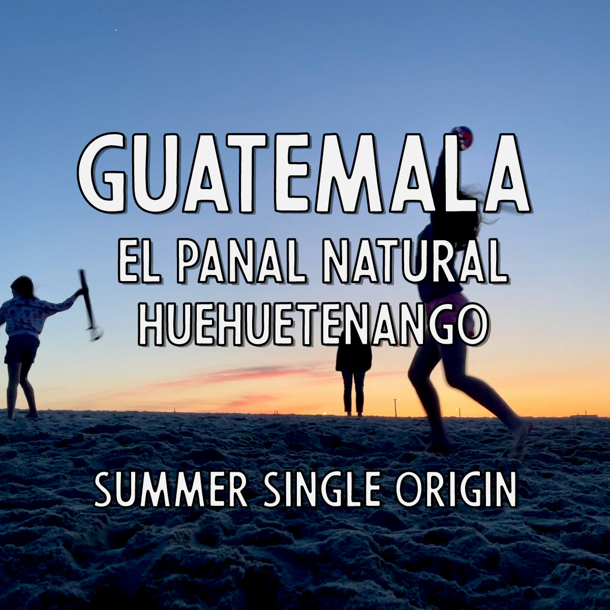 Guatemala El Panal Huehuetenango Natural by Booskerdoo Coffee + Baking Co.