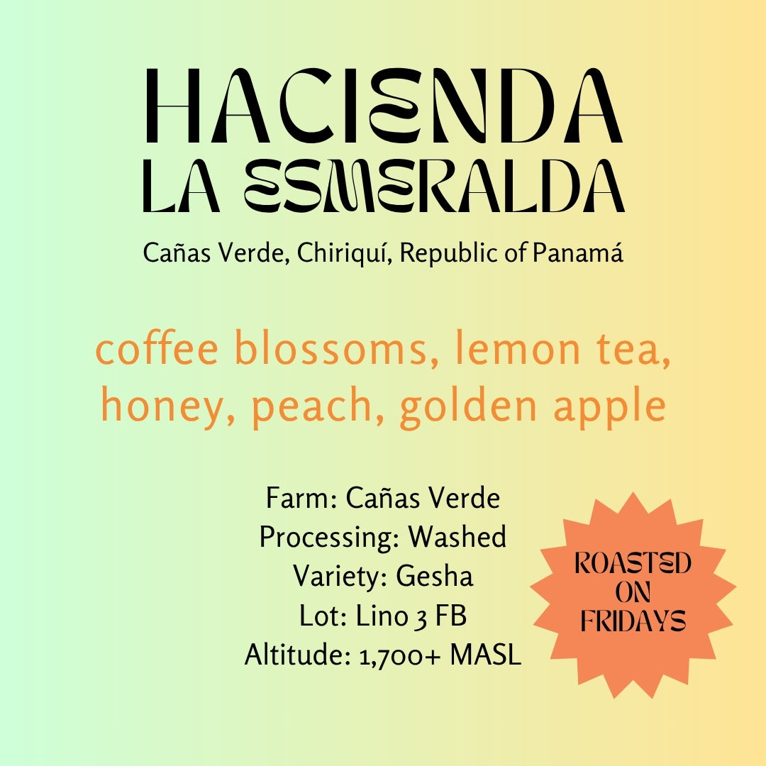 Hacienda La Esmeralda Washed Gesha, Lino 3 by Little Waves Coffee Roastery
