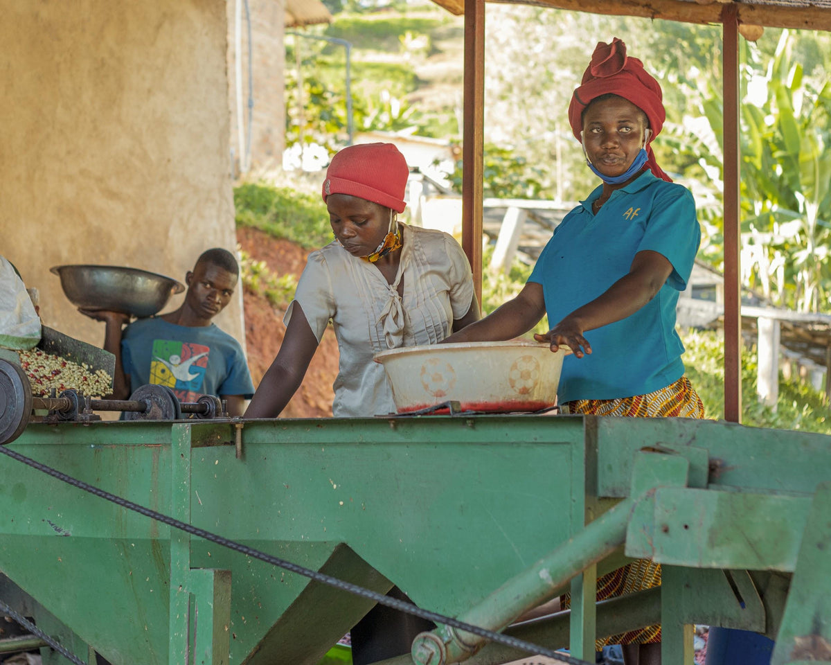 Rwanda Muhororo by Beacon Coffee Roasters