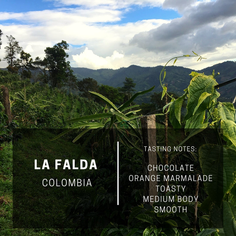 Colombia La Falda by Vigilante Coffee