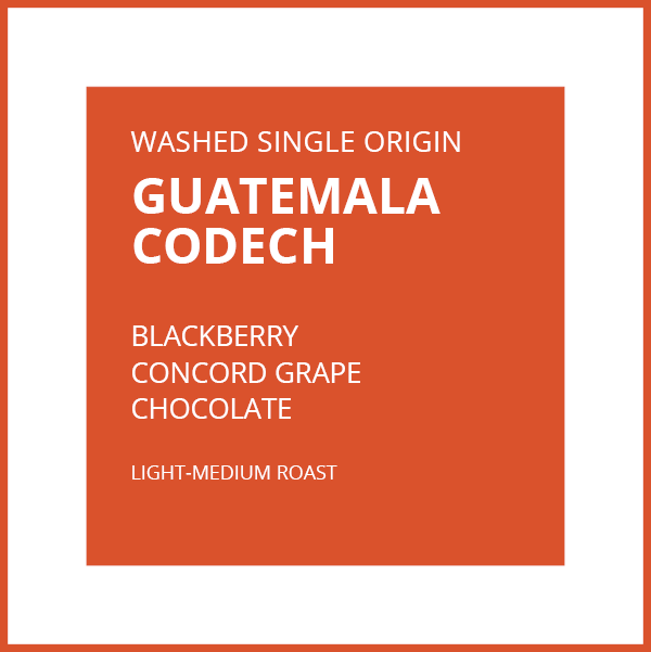 GUATEMALA CODECH by Roadmap CoffeeWorks