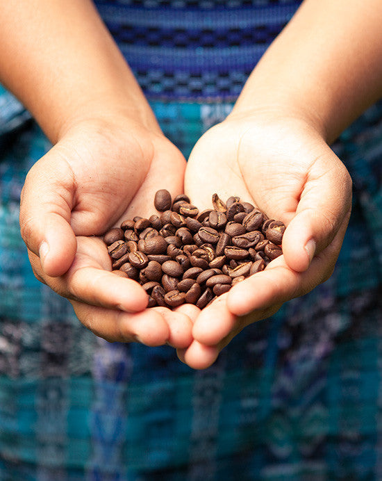 Guatemala Huehuetenango Coffee by Speeder & Earl's Coffee