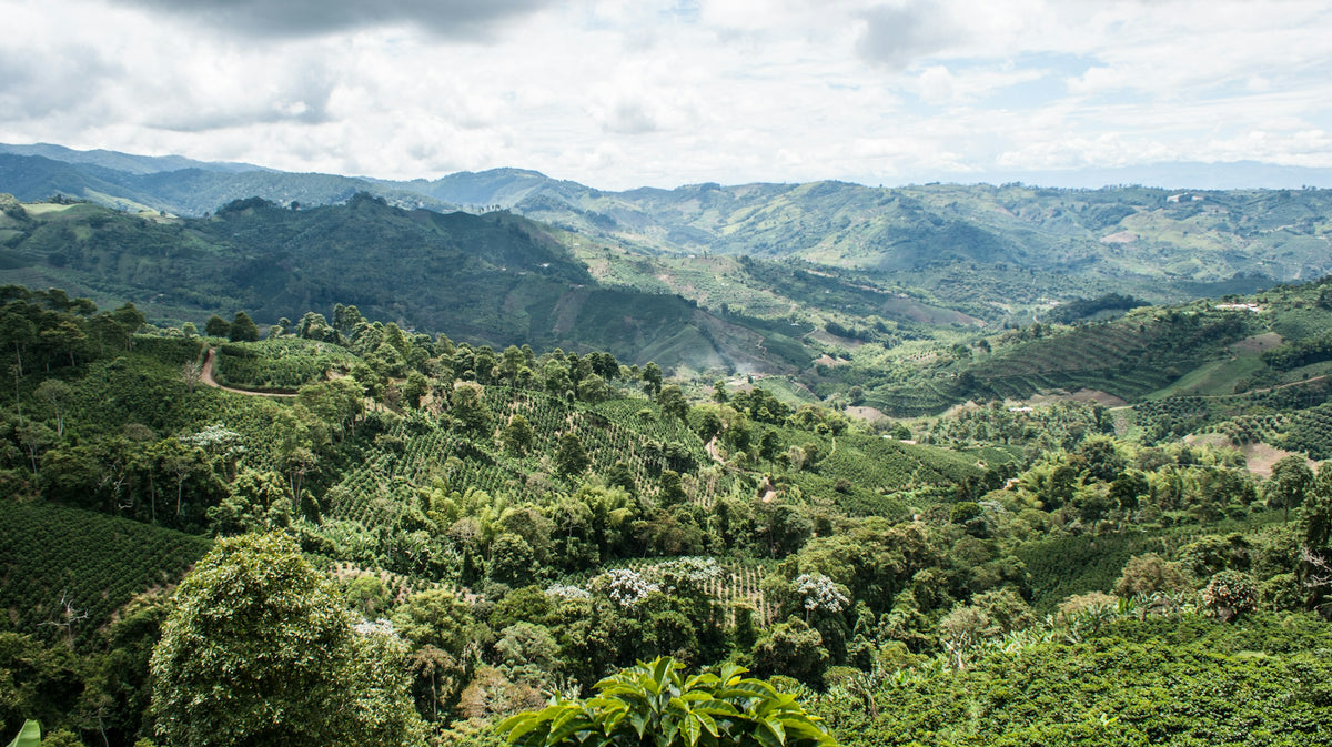 Landscape in Colombia