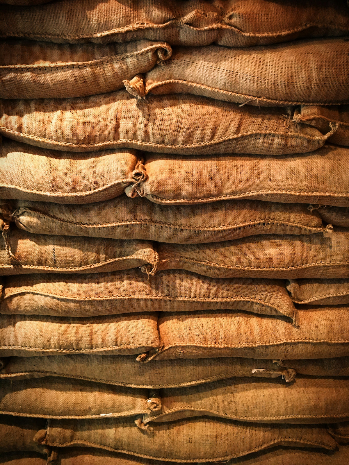 Burlap sacks of green coffee
